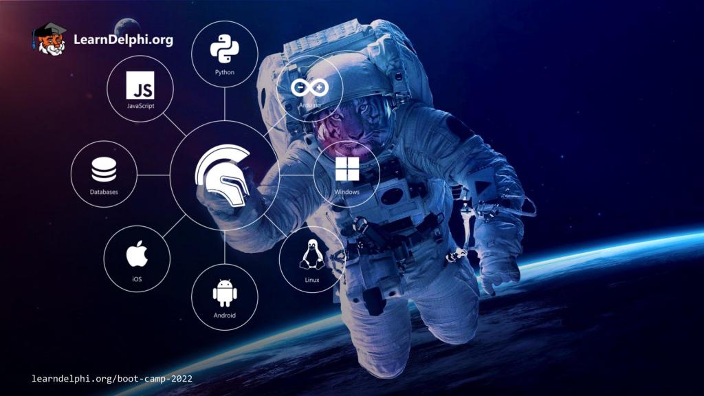 Учебный лагерь по программированию 2022