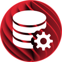 DataSnap